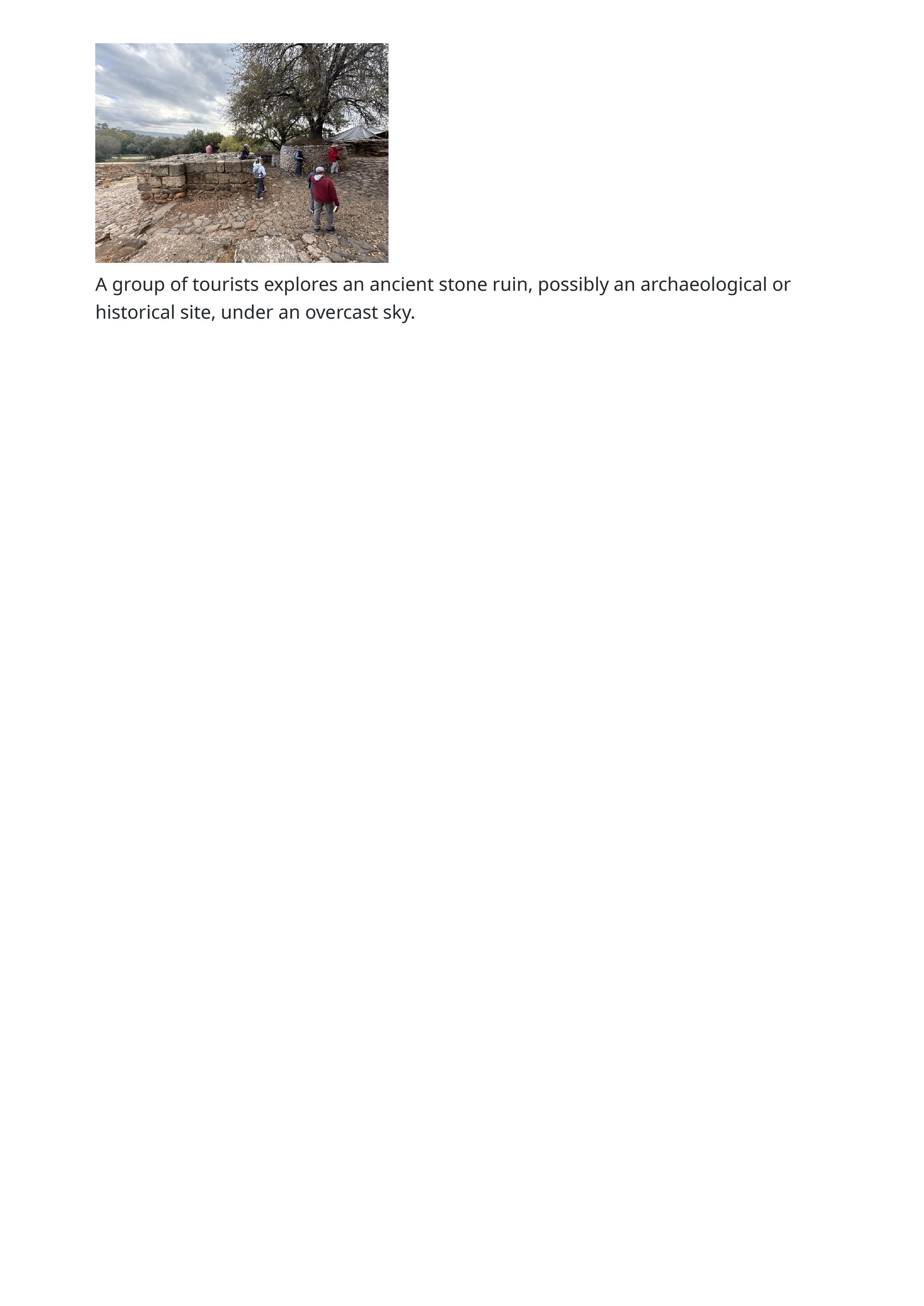 2026 02 25 14 39 59 merged Highlights page 3